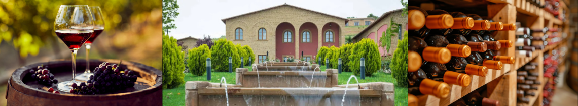 Bodegas San Valero y la reapertura de Tierra de Cubas